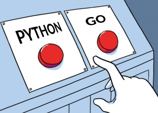 pythong and golang key differences